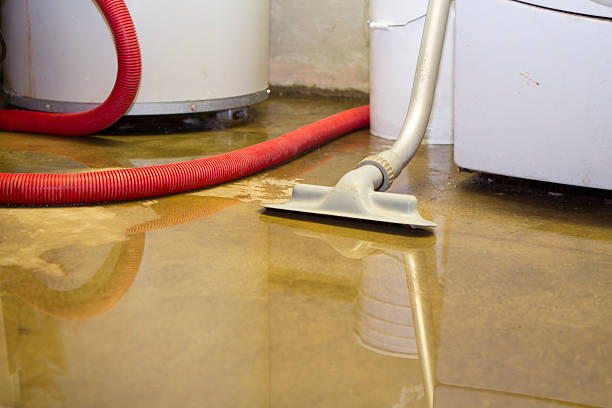 Best Mold removal after water damage  in Hudson Falls, NY